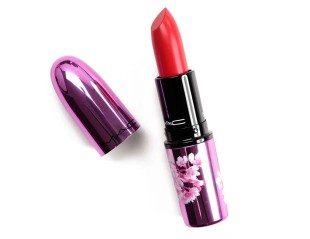 Love Me Lipstick, Ruj de buze, Nuanta Wild Cherry Love, 3 gr 773602627875