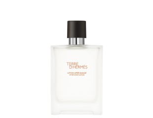 Terre D`Hermes, Barbati, After-Shave, 100 ml 3346131400119
